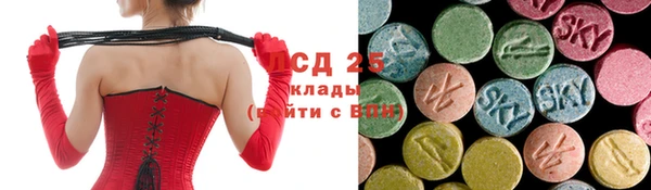 хмурый Сатка
