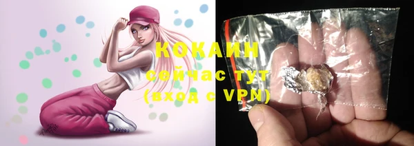 гашик Аркадак