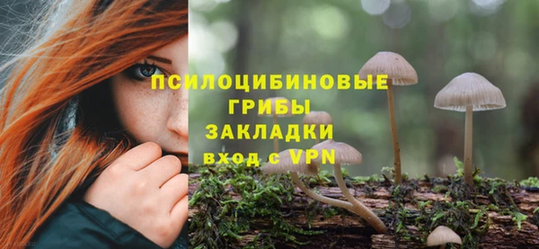 экстази Сафоново
